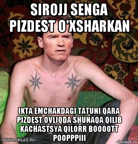 sirojj senga pizdest o'xsharkan ikta emchakdagi tatuni qara pizdest ovliqda shunaqa qilib kachastsya qilorr boooott poopppiii, Мем Шварц на нарах