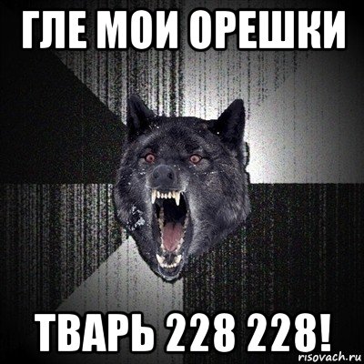 гле мои орешки тварь 228 228!, Мем Сумасшедший волк