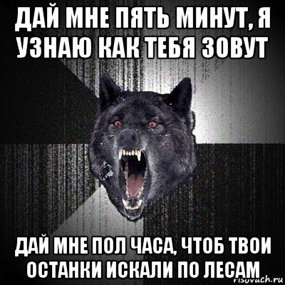 дай мне пять минут, я узнаю как тебя зовут дай мне пол часа, чтоб твои останки искали по лесам, Мем Сумасшедший волк