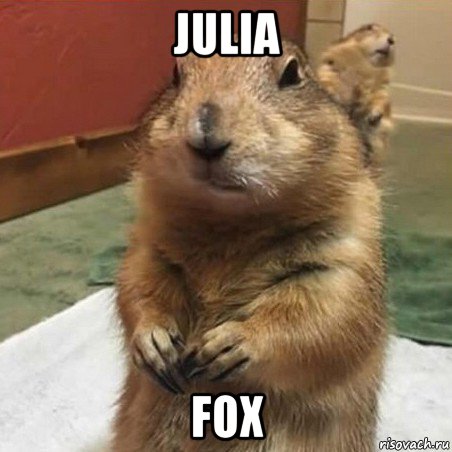 julia fox, Мем Суслик спрашивает