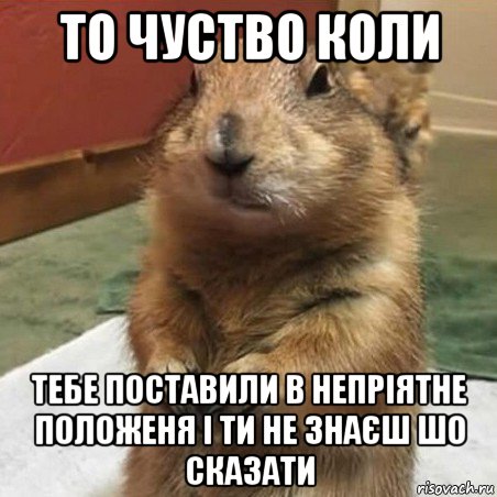 то чуство коли тебе поставили в непріятне положеня і ти не знаєш шо сказати, Мем Суслик спрашивает