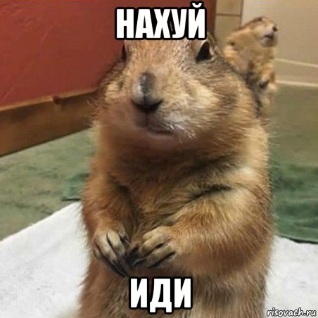 нахуй иди, Мем Суслик спрашивает