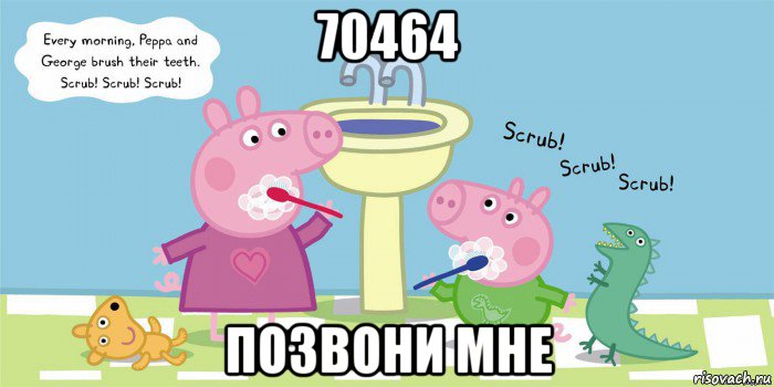 70464 позвони мне, Мем  Свинка