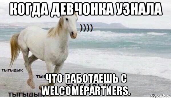 когда девчонка узнала что работаешь с welcomepartners., Мем   Тыгыдык