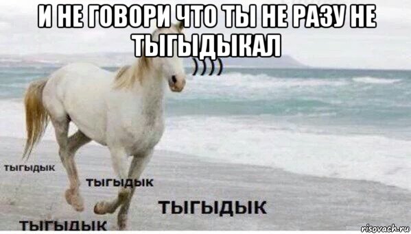 и не говори что ты не разу не тыгыдыкал , Мем   Тыгыдык