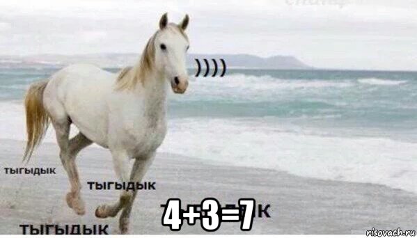  4+3=7, Мем   Тыгыдык