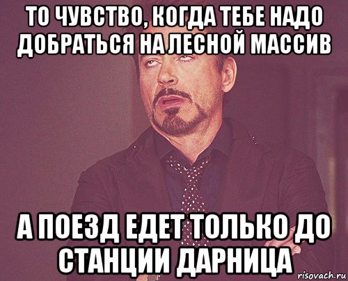 то чувство, когда тебе надо добраться на лесной массив а поезд едет только до станции дарница, Мем твое выражение лица