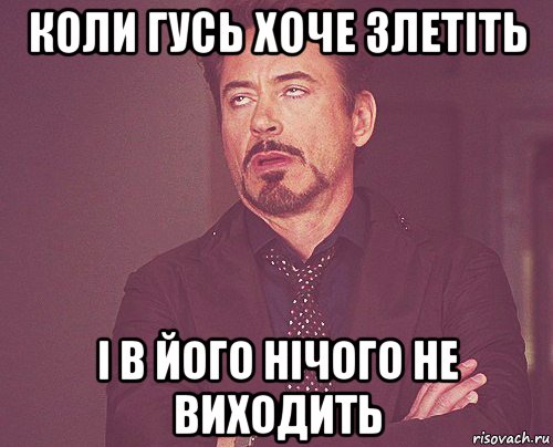 коли гусь хоче злетіть і в його нічого не виходить, Мем твое выражение лица