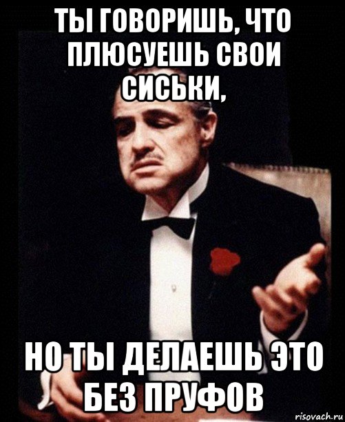 ты говоришь, что плюсуешь свои сиськи, но ты делаешь это без пруфов, Мем ты делаешь это без уважения