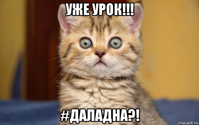 уже урок!!! #даладна?!