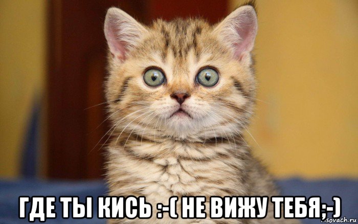  где ты кись :-( не вижу тебя;-)