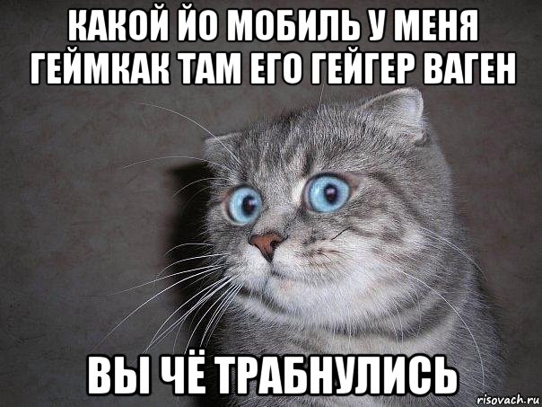 какой йо мобиль у меня геймкак там его гейгер ваген вы чё трабнулись, Мем  удивлённый кот