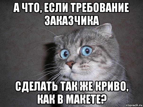 а что, если требование заказчика сделать так же криво, как в макете?, Мем  удивлённый кот