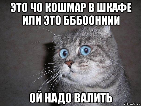 это чо кошмар в шкафе или это бббоониии ой надо валить, Мем  удивлённый кот