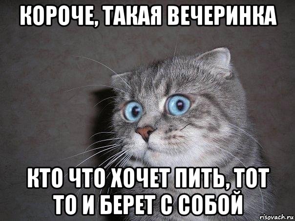 короче, такая вечеринка кто что хочет пить, тот то и берет с собой, Мем  удивлённый кот