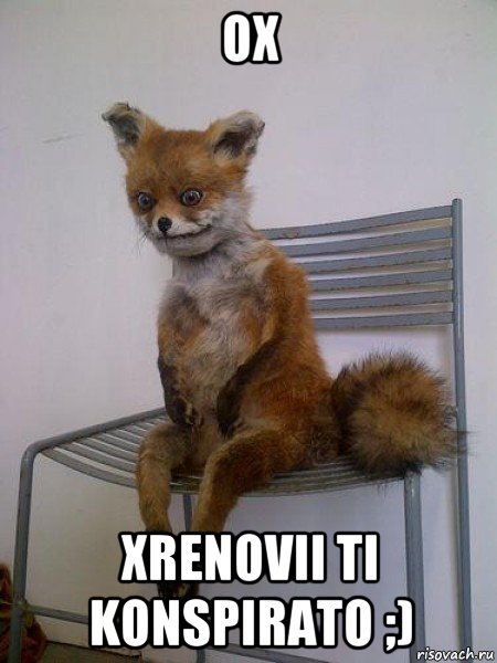 ox xrenovii ti konspirato ;), Мем Упоротая лиса