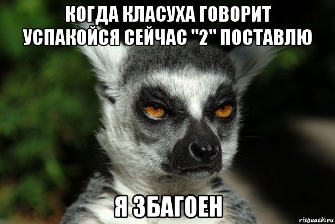 когда класуха говорит успакойся сейчас "2" поставлю я збагоен, Мем   Я збагоен