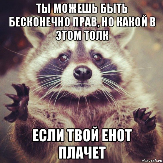 ты можешь быть бесконечно прав, но какой в этом толк если твой енот плачет