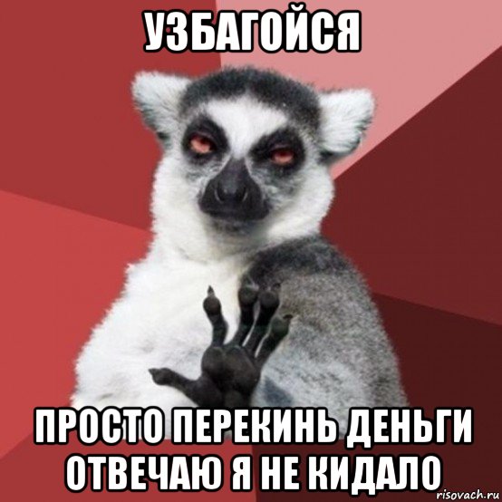 узбагойся просто перекинь деньги отвечаю я не кидало, Мем Узбагойзя