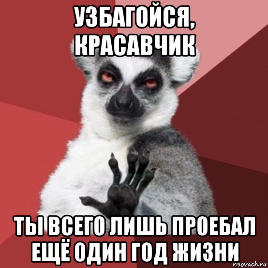 узбагойся, красавчик ты всего лишь проебал ещё один год жизни, Мем Узбагойзя