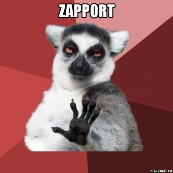 zapport , Мем Узбагойзя