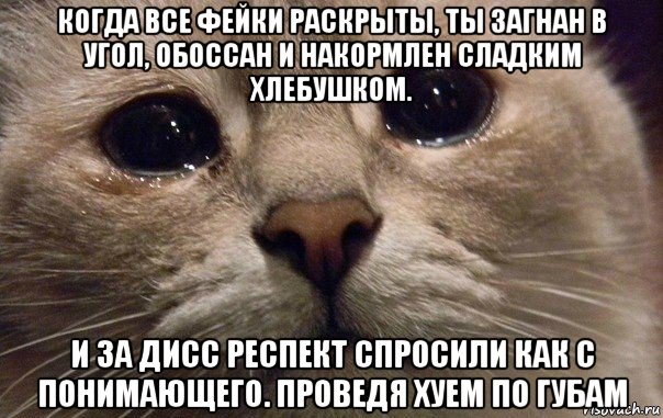 когда все фейки раскрыты, ты загнан в угол, обоссан и накормлен сладким хлебушком. и за дисс респект спросили как с понимающего. проведя хуем по губам, Мем   В мире грустит один котик