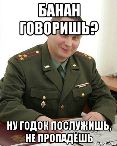 банан говоришь? ну годок послужишь, не пропадёшь, Мем Военком (полковник)