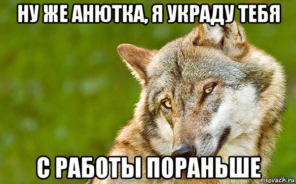 ну же анютка, я украду тебя с работы пораньше, Мем   Volf