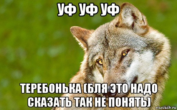 уф уф уф теребонька (бля это надо сказать так не понять), Мем   Volf