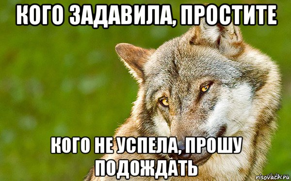 кого задавила, простите кого не успела, прошу подождать, Мем   Volf