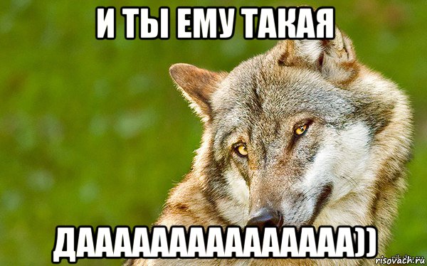 и ты ему такая дааааааааааааааа)), Мем   Volf