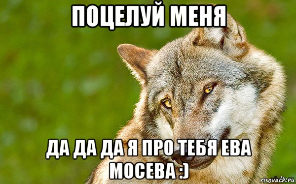 поцелуй меня да да да я про тебя ева мосева :), Мем   Volf