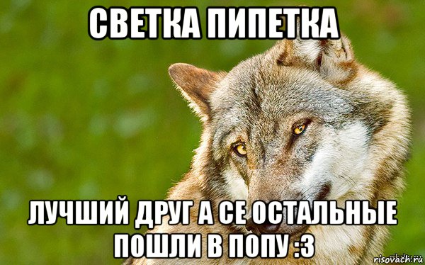 cветка пипетка лучший друг а се остальные пошли в попу :3, Мем   Volf