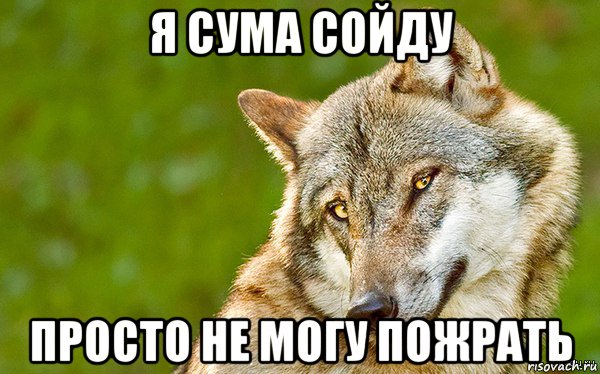 я сума сойду просто не могу пожрать, Мем   Volf