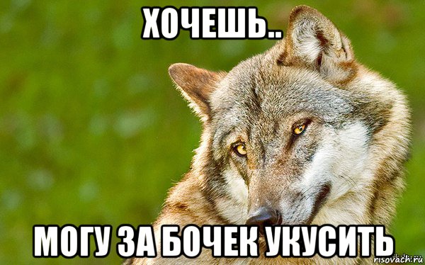 хочешь.. могу за бочек укусить, Мем   Volf