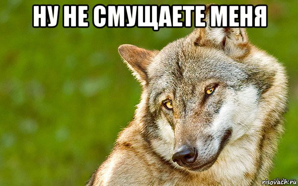 ну не смущаете меня , Мем   Volf