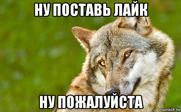 ну поставь лайк ну пожалуйста, Мем   Volf