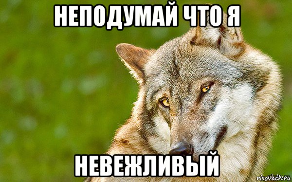 неподумай что я невежливый, Мем   Volf