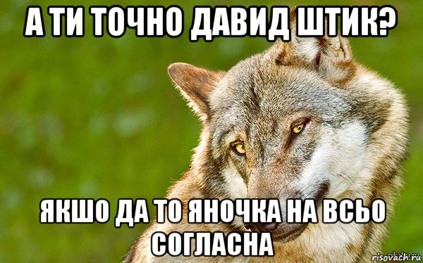 а ти точно давид штик? якшо да то яночка на всьо согласна, Мем   Volf