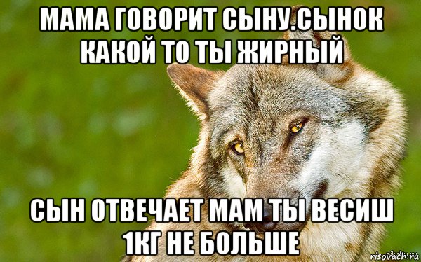 мама говорит сыну.сынок какой то ты жирный сын отвечает мам ты весиш 1кг не больше, Мем   Volf