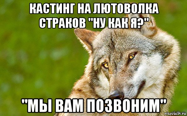 кастинг на лютоволка страков "ну как я?" "мы вам позвоним", Мем   Volf