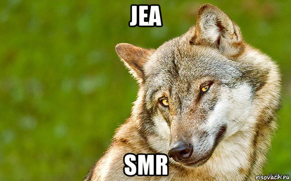 jea smr, Мем   Volf