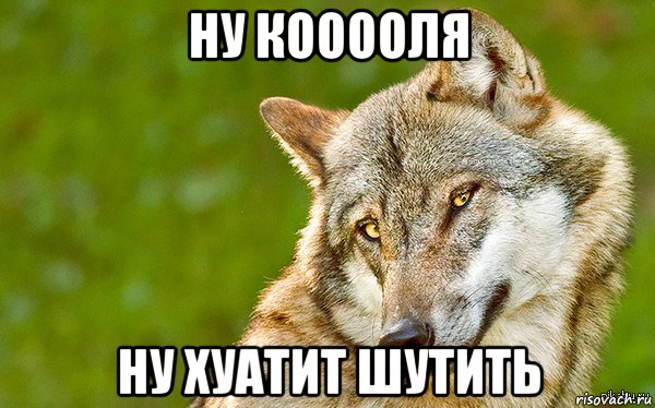 ну кооооля ну хуатит шутить, Мем   Volf