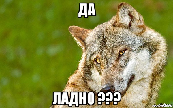 да ладно ???, Мем   Volf