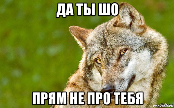 да ты шо прям не про тебя, Мем   Volf