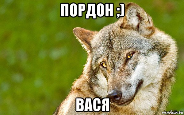 пордон ;) вася, Мем   Volf