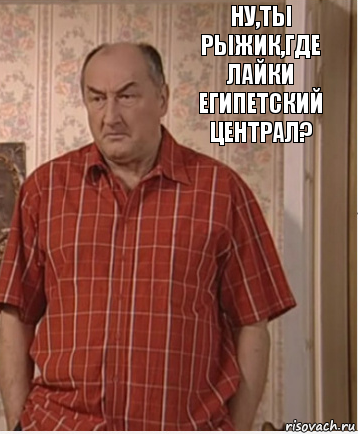 Ну,ты рыжик,где лайки египетский централ?, Комикс Николай Петрович Воронин