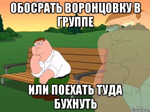 обосрать воронцовку в группе или поехать туда бухнуть, Мем Задумчивый Гриффин