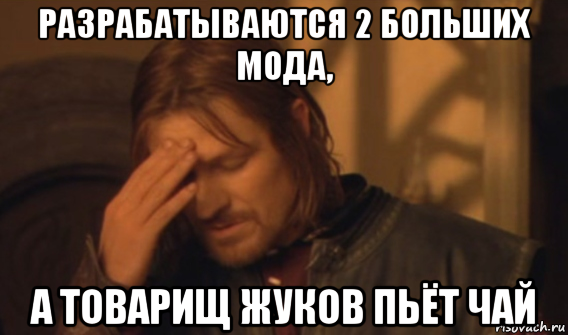 разрабатываются 2 больших мода, а товарищ жуков пьёт чай, Мем Закрывает лицо