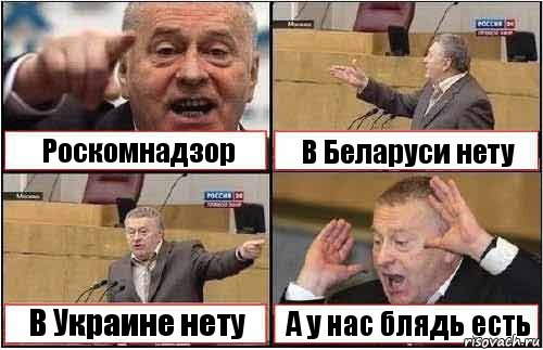 Роскомнадзор В Беларуси нету В Украине нету А у нас блядь есть, Комикс жиреновский